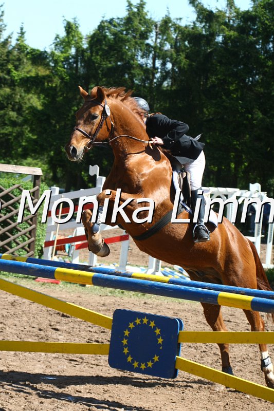 104M8448_Spring L.JPG